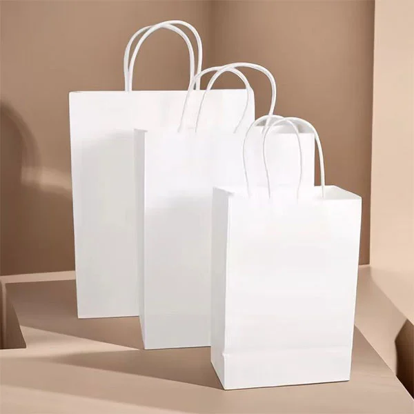 Paper Gift Bags